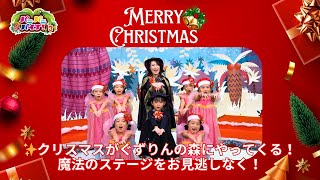 【予告】エピソード25「ぐずりんの森のクリスマス・前編」～パニパニパイナ！３