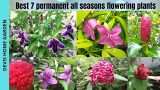 Best 7 permanent all seasons flowering plants in tamil / Devi's home garden / terrace garden