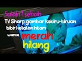 TV Sharp gambar ungu kebiruan warna merah tidak keluar warna bibir jadi serem he he he he