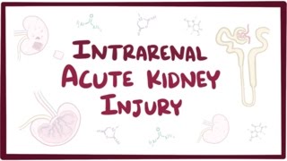 Intrarenal acute kidney injury (acute renal failure) - causes, symptoms & pathol