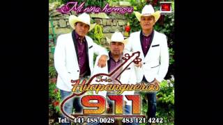 Trio Huapangueros 911 - Despacito