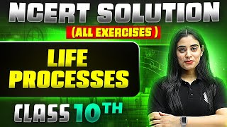 Life Processes | Complete NCERT WITH BACK EXERCISE in 1 Video | Class 10th Board