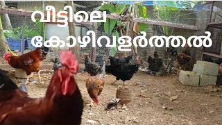 വീട്ടിലെ കോഴിവളർത്തൽ / Backyard Chicken keeping