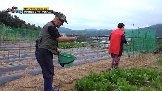 !!전원생활의 끝판왕!!! 시트콤 같은 배우 남능미 부부의 텃밭 가꾸기 MBN 210628 방송