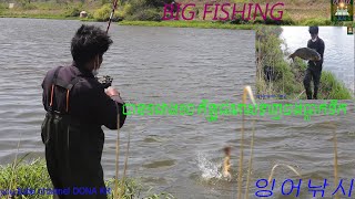 Amazing fishing moments from 2021 ខ្មែរស្ទូចត្រីនៅកូរ៉េ​​ភាគ2잉어낚시