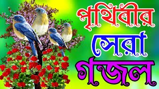 best islamic bangla gojol 2025 |২০২৫ এর সেরা গজল ।নতুন গজল ২০২৫। বাংলা গজল ইসলামিক গজল