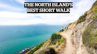 Escarpment Track: Welcome to the North Island's best short walk | TRAVEL | STUFF TRAVEL