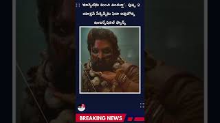 ‘మార్వెల్‌ను మించి ఉందబ్బా’   పుష్ప 2 యాక్షన్ సీక్వెన్స్‌కు ఫిదా అవుతోన్న ఇంటర్నేషనల్ ఫ్యాన్స్