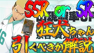 【ハイフラ】【SSR狂犬ちゃん引くべき！？】絶対に〇〇すべきです！！　SRで十分！？【ハイキュー!!FLY HIGH】【ハイキューアプリ】