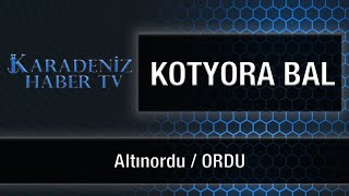 KOTYORA BAL - Altınordu / ORDU