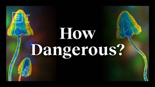 The real risks of psychedelics, explained by an expert | Dr. Matthew Johnson