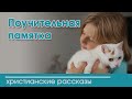 💛 Поучительная памятка ИНТЕРЕСНЫЙ ХРИСТИАНСКИЙ РАССКАЗ Христианские рассказы