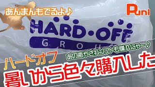 【ハードオフ】熱くてぼーっとした頭でハードオフに行ったらいっぱい買った！あんまんコロコロローラーに襲われる