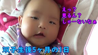 【1日密着】生後5ヶ月の男女双子赤ちゃんの1日の流れ