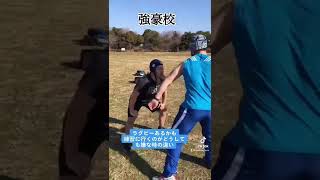 【ラグビーあるある】練習に行くのがどうしても嫌なやつの違い