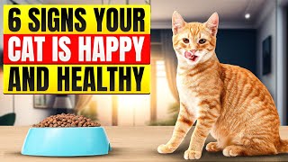 16 Signs your Cat is VERY Happy and Healthy