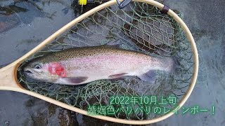 犀川本流　2022年10月上旬