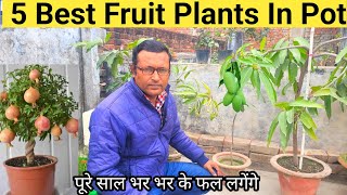 5 Best Fruit Plants In Pots | पूरे साल भर भर के फल लगेंगे