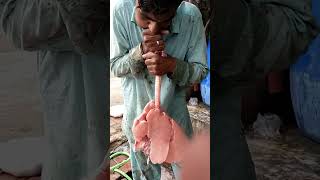 lungs testing |animal lungs test |how lungs work #viral #lungs #health#goat #lungs #goatlungsinsight