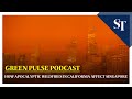 How apocalyptic wildfires in California affect Singapore: Green Pulse Podcast Ep 33