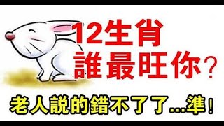 12生肖的命定貴人！你屬什麼生肖「你的貴人就是誰」老人說的錯不了