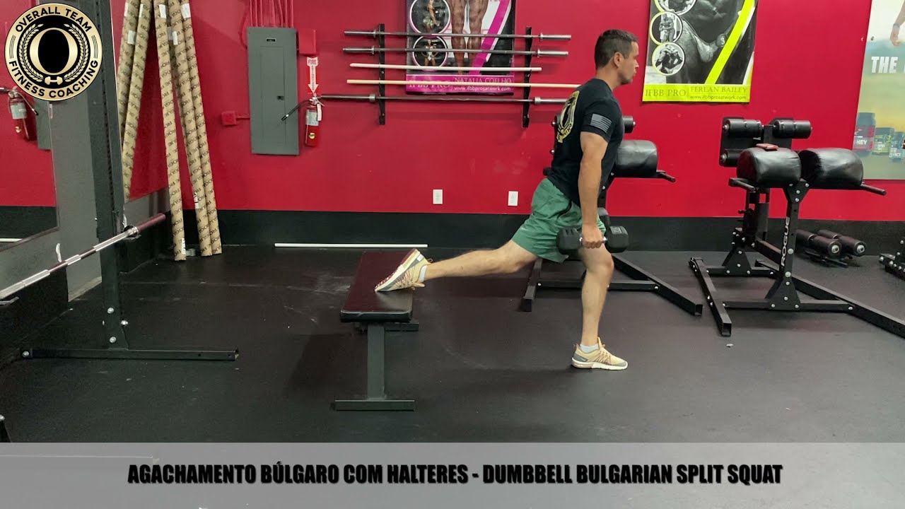 AGACHAMENTO BÚLGARO COM HALTERES - DUMBBELL BULGARIAN SPLIT SQUAT - YouTube