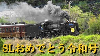 【4K】秩父鉄道 SLパレオエクスプレス『SLおめでとう令和号』新元号誕生記念列車