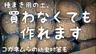 【土づくり】自然農スタイルで作れる簡単育苗土の作り方\u0026害虫対策　トマト、ナス、ピーマン、キュウリを種から育てる。