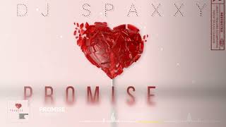 Dj Spaxxy ft Chong Lee, Nerve Zm, Shawnzy Codinero \u0026 RudeMayah - Promise (Official Audio)