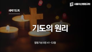 20250212 새벽기도회(왕상 8:41-53)