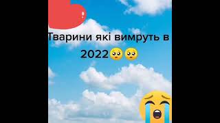 🤧😪😭 Как жалко!!!