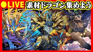 【パズドラ生放送】ドラゴン狩りじゃ！！配信【参加型 初コメ歓迎】