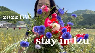 Vlog#8 2022 GW Stay in Izu/1泊2日伊豆旅行 お花畑