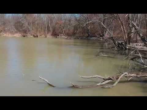OBH-Low Level Search OBH-Low Level Search