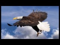 abba eagle