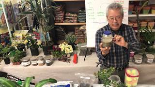 THE MOST IMPORTANT COMPONENT OF YOUR GARDEN: SOIL | LIVESTREAM