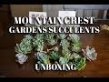 Mountain Crest Gardens Succulents