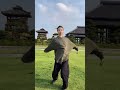 tai chi 太极拳，倡导以柔克刚、以静应动的哲学思想 功夫 太极 太极拳 太极教学 taichitutorial martialarts beginnertaichi