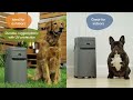 Amazon com Pet Genie Dog Waste Disposal System