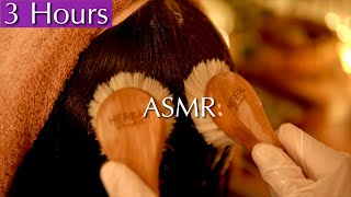 🌸ASMR Massage Magic🌸Tingles from Head to Toe😇 Hair Brushing, Shampoo, Scalp Massage🌿No Talking