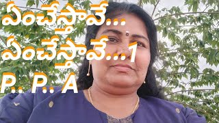 PPA... ఏమిచేస్తున్నారో మీకైనా అర్థమతుందా...???#AK chitty vlogs#Cherry sathakshi