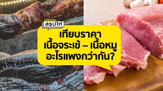 เมื่อเนื้อหมูแพงคนหันมาบริโภคเนื้อจระเข้ l SPRiNGสรุปให้