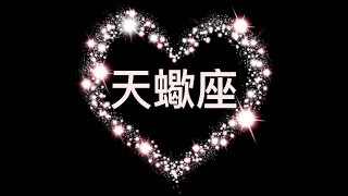 天蠍 | 字幕 | 【2022年11月中】👩‍❤️‍💋‍👨愛情塔羅 | 他充滿內心戲，情緒高低起伏得很