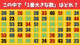 【大小の数字探し】瞬時に見つけ出せ！#1【脳トレ|集中力|記憶力|認知症予防|老化防止|集中力|観察力】