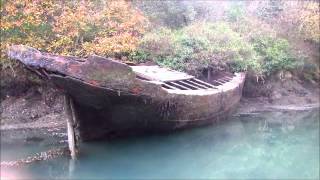 Kayaking along Frenchman's Creek with Koru Kayaking