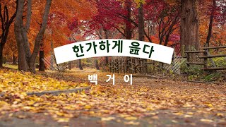 힐링시167 백거이의 한가하게 읊다