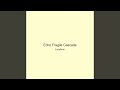 Echo Fragile Cascade
