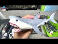 sea animals collection sharks whales dolphin bull shark great white shark humpback whale