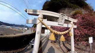 河津さくら　2018　VR動画　大分県津久見市・四浦半島の河津さくらです。