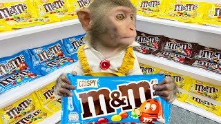 Monkey Bim Bim goes to the supermarket to buy M&M candy and eat it so yummy | Baby Monkey Animal